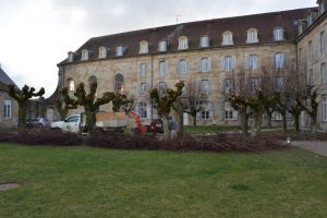 Elagage le Brin d'Herbe, paysagiste et pépiniériste à Langres en Haute-Marne