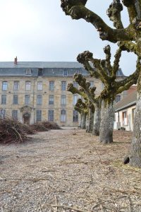 Elagage le Brin d'Herbe, paysagiste et pépiniériste à Langres en Haute-Marne