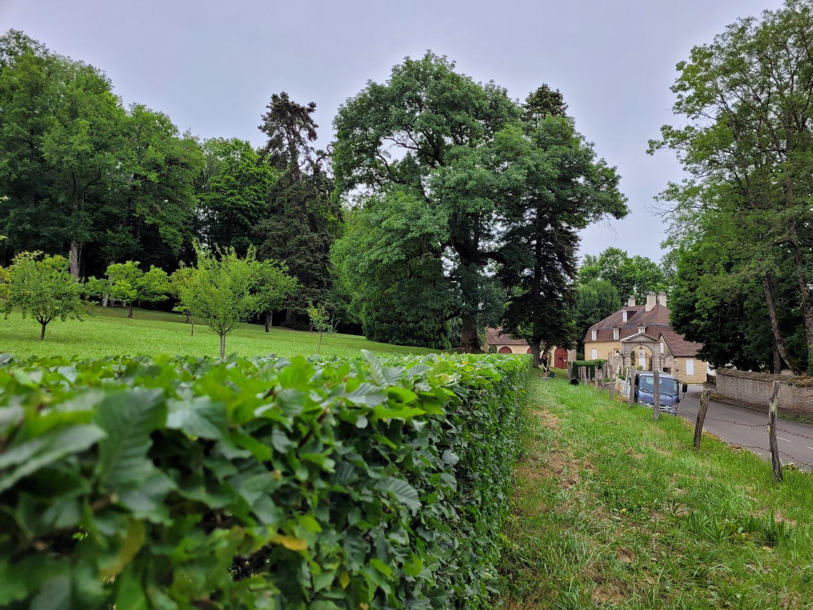 Entretien le Brin d'Herbe, paysagiste et pépiniériste à Langres en Haute-Marne